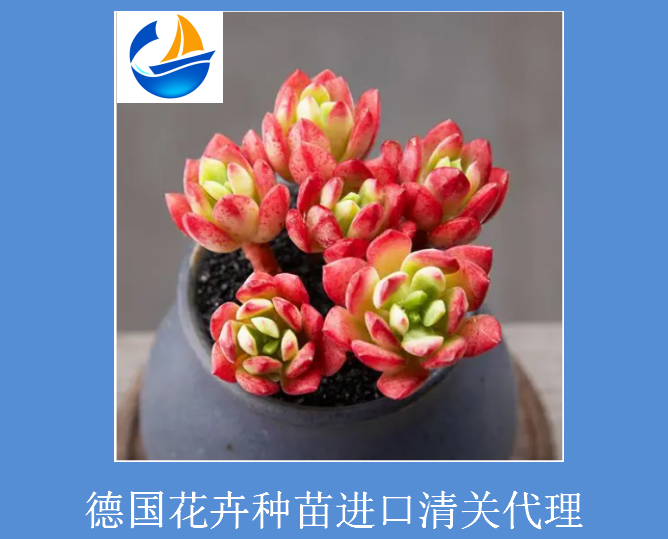 德國(guó)花卉進(jìn)口清關(guān).png